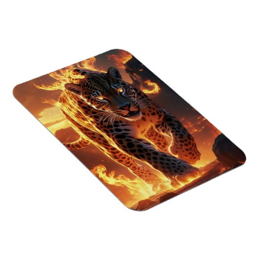 vida..... マグネット (右側)