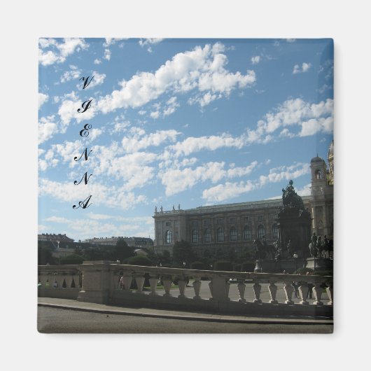 Vienaa 137, Vienaa 142, Vienaa 171, Vienaa 197,... マグネット (正面)