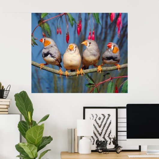 vier Zebrafinken nebeneinander auf Ast sitzend ポスター (ホームオフィス)