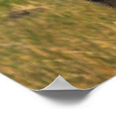 Viera Wetlands素晴らしポスターのEgret Bird ポスター (角)