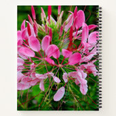 Vietnam - flower on Ha Giang plateau ノートブック (裏面)