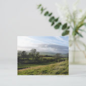 "View above Coquetdale" Northumberland ポストカード (スタンド正面)