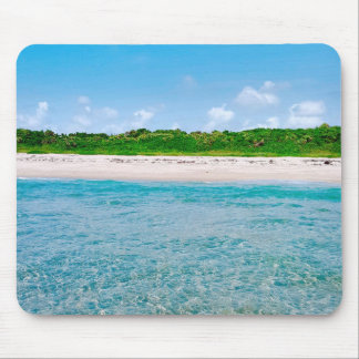 View From The Sandbarマウスパッド マウスパッド
