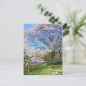 View of Cherry blossoms & Spring Star ポストカード (スタンド正面)