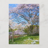 View of Cherry blossoms & Spring Star ポストカード (正面)