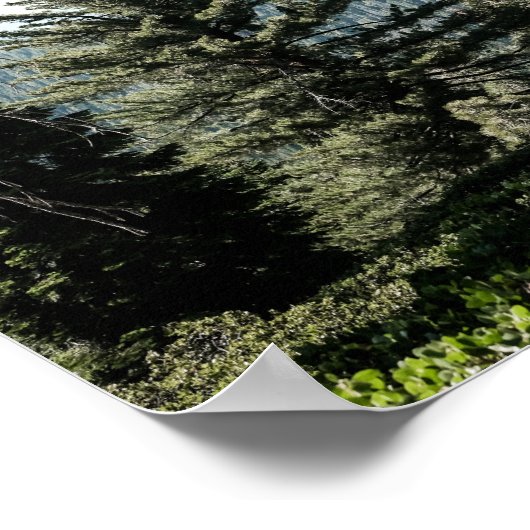 View of Kings Canyon in the Sierra Nevada Forest ポスター (角)