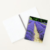 View of lavender fields in the Drôme provencale  ノートブック (内部)