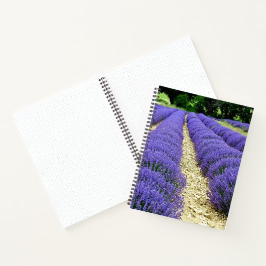 View of lavender fields in the Drôme provencale  ノートブック (内部)
