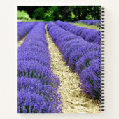 View of lavender fields in the Drôme provencale  ノートブック (裏面)