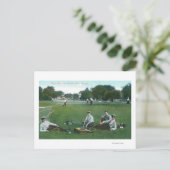 View of Lincoln Park Tennis Groundsシカゴ, IL ポストカード (スタンド正面)