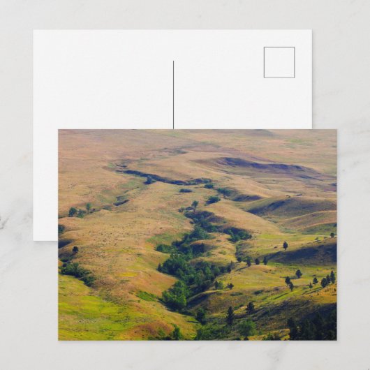 View of Plains Enround Bear Butte, SD ポストカード (正面/裏面)