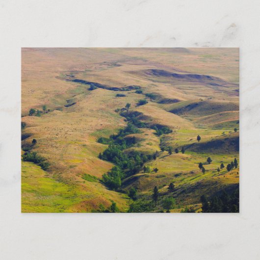 View of Plains Enround Bear Butte, SD ポストカード (正面)