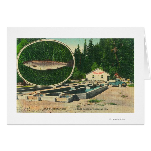 View of Trout Haven HatcheryGasquet, CA (正面横)