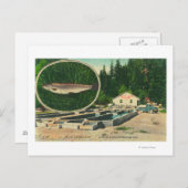 View of Trout Haven HatcheryGasquet, CA ポストカード (正面/裏面)