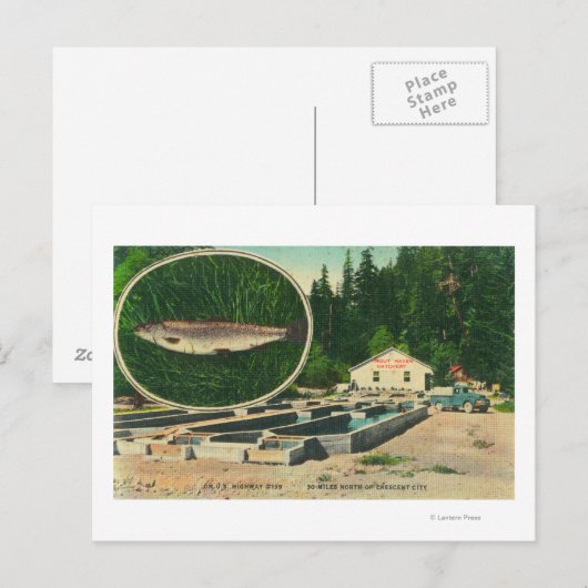 View of Trout Haven HatcheryGasquet, CA ポストカード (正面/裏面)