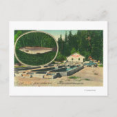 View of Trout Haven HatcheryGasquet, CA ポストカード (正面)