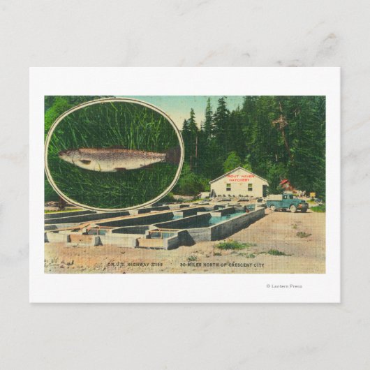 View of Trout Haven HatcheryGasquet, CA ポストカード (正面)