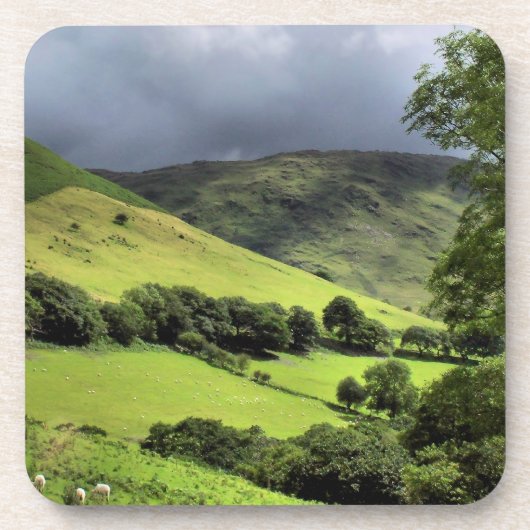 VIEWS OF WALES UK コースター (正面)