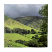 VIEWS OF WALES UK タイル (正面)