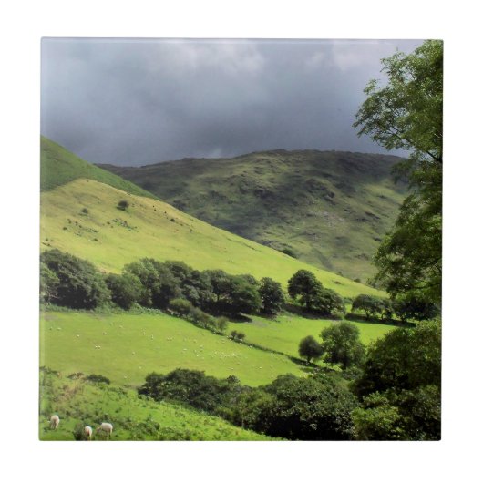 VIEWS OF WALES UK タイル (正面)