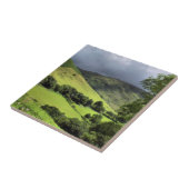 VIEWS OF WALES UK タイル (側面)