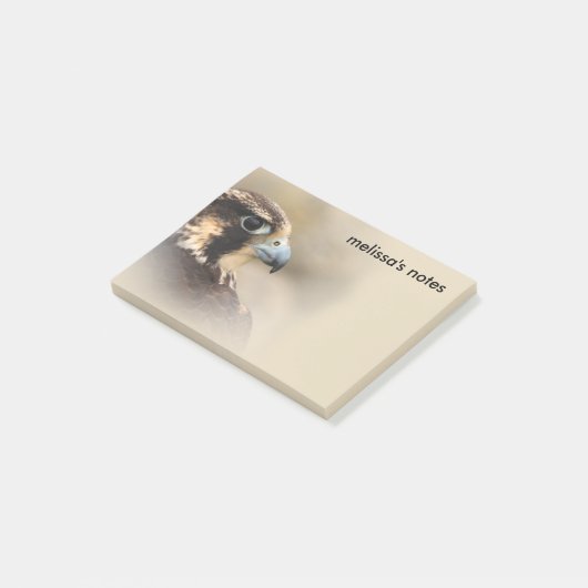 Vignettedプロフィールのペレグリン《鳥》ハヤブサ ポストイット (アングル)