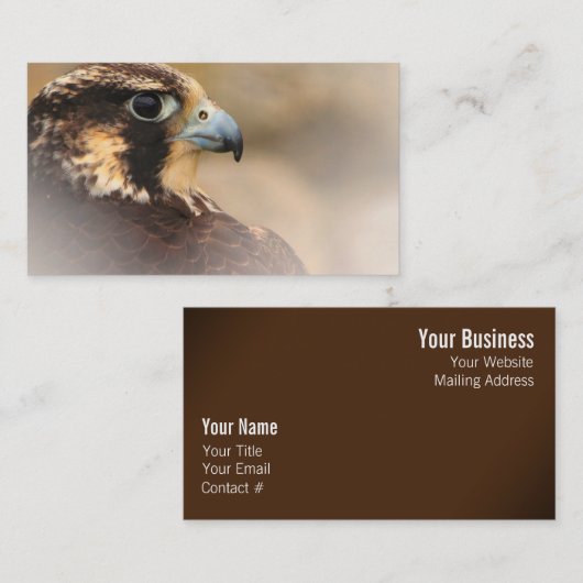 Vignettedプロフィールのペレグリン《鳥》ハヤブサ 名刺 (正面/裏面)
