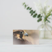 Vignettedプロフィールのペレグリン《鳥》ハヤブサ 名刺 (スタンド正面)