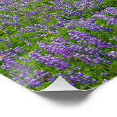 VIK，アイスランドポスター ポスター (コーナー)