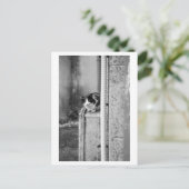 Village Cat ポストカード (スタンド正面)