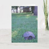 "Village Snapping Turtle"誕生日カード カード (正面)