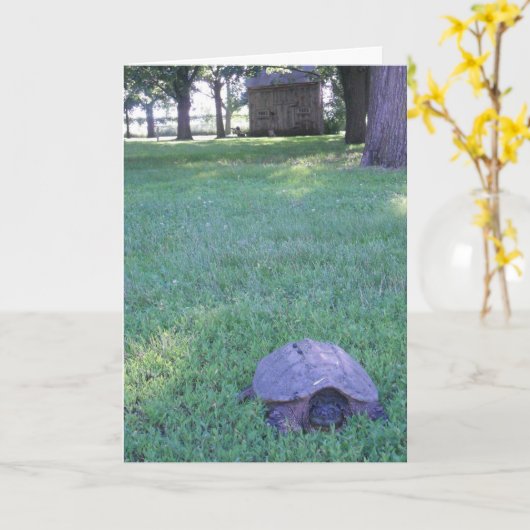 "Village Snapping Turtle"誕生日カード カード (黄色い花)