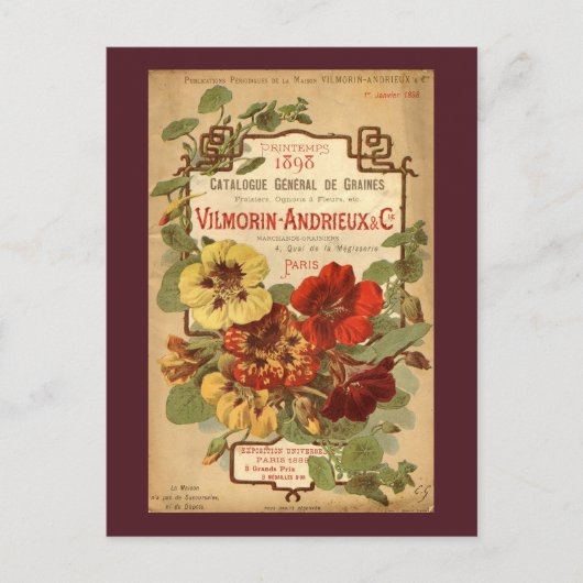 Vilmorin-Andrieux & Co. Seed Catalog Ad ポストカード (正面)