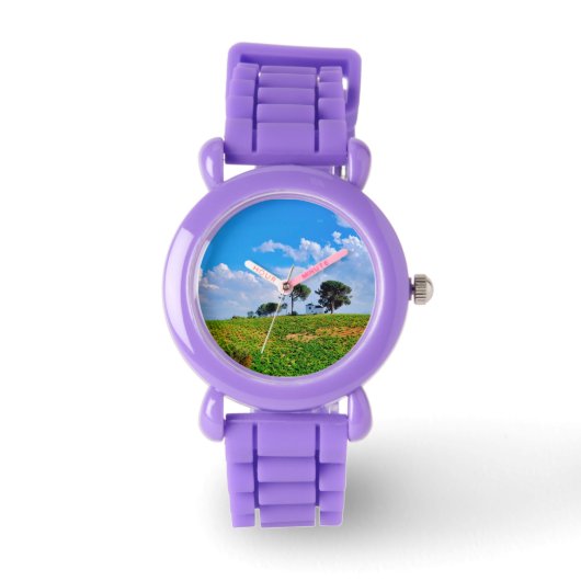 Viña de Los Pinos 腕時計 (正面)