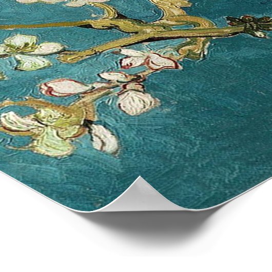 Vincent Van Gogh -  Blossoming Almond Tree ポスター (角)