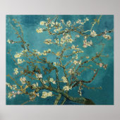 Vincent Van Gogh -  Blossoming Almond Tree ポスター (正面)