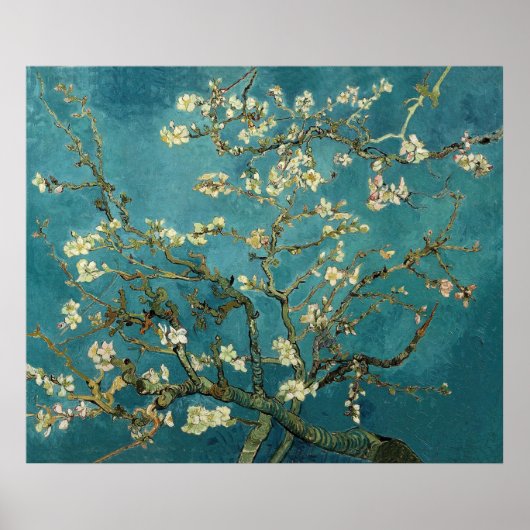 Vincent Van Gogh -  Blossoming Almond Tree ポスター (正面)