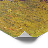 Vincent Van Gogh - Farmhouse in Provence ポスター (角)