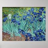 Vincent van Gogh, Irises. ポスター (正面)