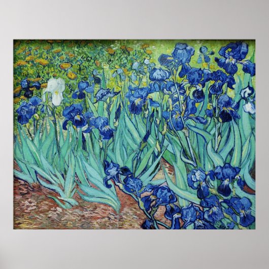 Vincent van Gogh, Irises. ポスター (正面)