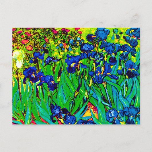 Vincent Van Gogh - Irises - 花好きポップアート ポストカード (正面)
