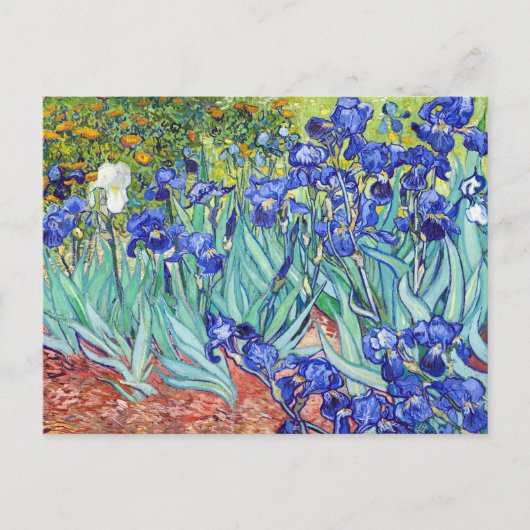 Vincent Van Gogh painting Irises インビテーションポストカード (正面)