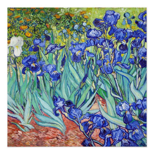 Vincent Van Gogh painting Irises ポスター (正面)