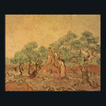 Vincent van Gogh | The Olive Grove, 1889 ポスター<br><div class="desc">The Olive Grove,  1889 | by Vincent van Gogh | Art Location: National Gallery of Art,  Washington DC,  USA | Dutch Artist | Image Collection Number: XJL61068</div>