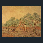 Vincent van Gogh | The Olive Grove, 1889 ポスター<br><div class="desc">The Olive Grove,  1889 | by Vincent van Gogh | Art Location: National Gallery of Art,  Washington DC,  USA | Dutch Artist | Image Collection Number: XJL61068</div>