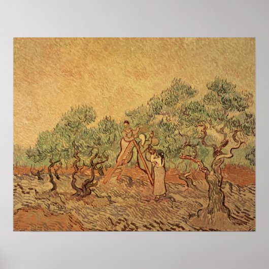 Vincent van Gogh | The Olive Grove, 1889 ポスター (正面)