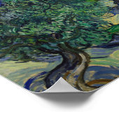 Vincent van Gogh - The Olive Trees ポスター (角)