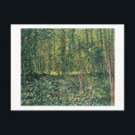 Vincent van Gogh | Trees and Undergrowth, 1887 ポストカード<br><div class="desc">Image Collection Number:  XTD68222  Trees and Undergrowth,  1887 (oil on canvas). Gogh,  Vincent van (1853-90) oil on canvas. Van Gogh Museum,  Amsterdam,  The Netherlands .  1887</div>