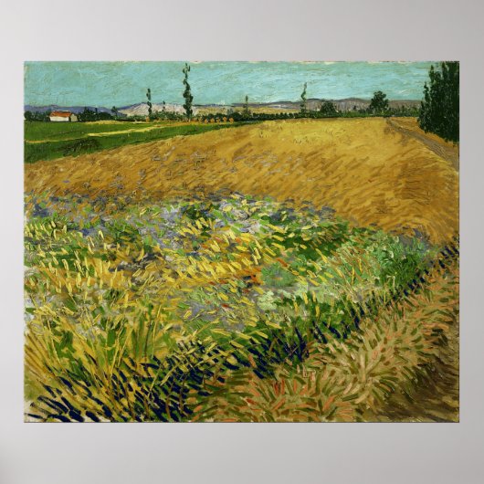 Vincent Van Gogh Vintage Wheatfield ポスター (正面)