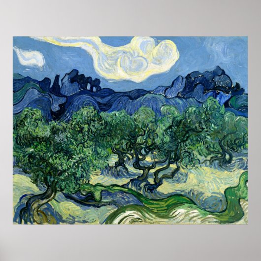 Vincent van Gogh's Olive Trees  ポスター (正面)
